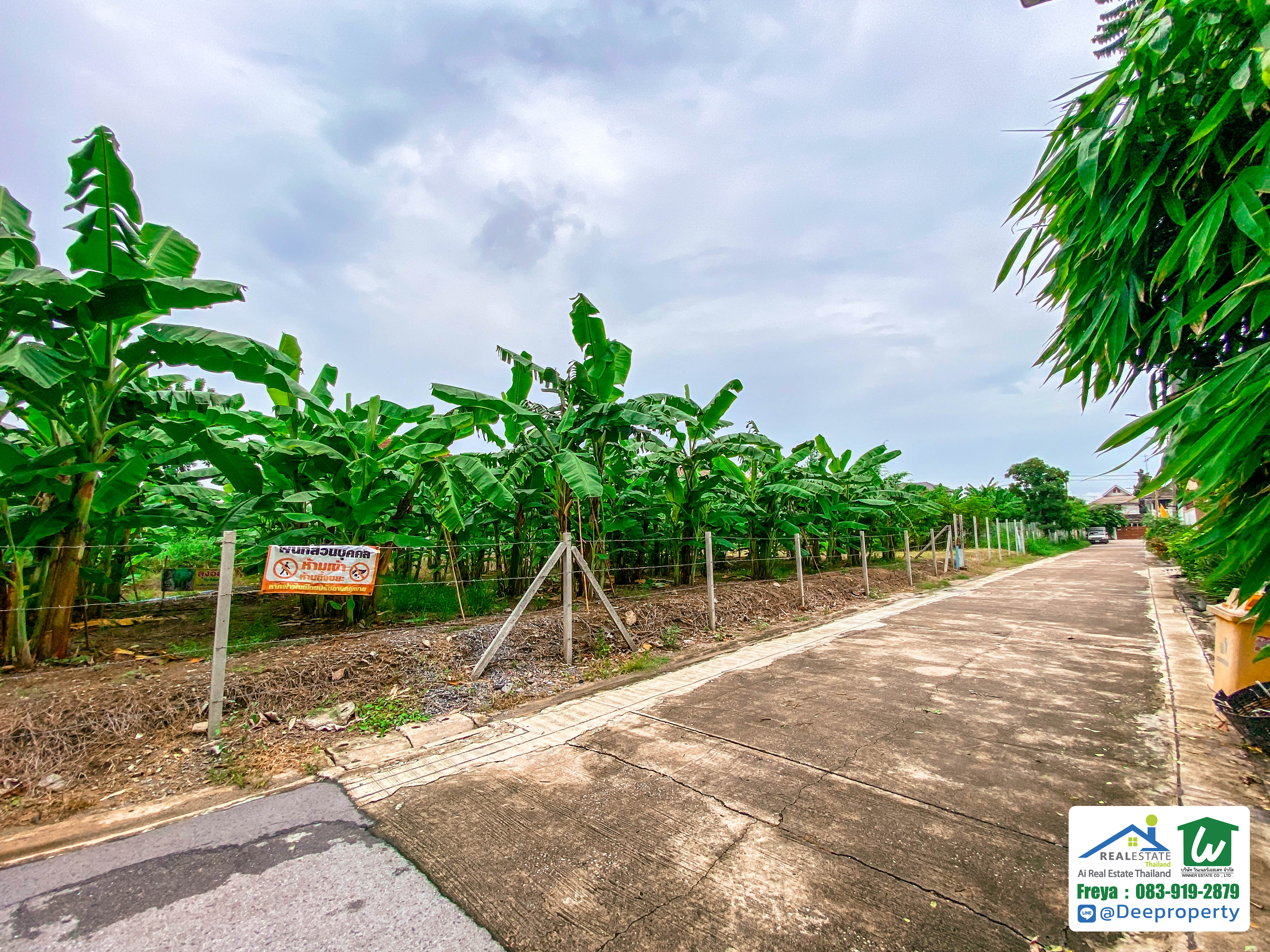 📢ขายถูก! 📢 ที่ดิน 200 ตร.วา งามวงศ์วาน 43 แยก 2-7 (ชินเขต1) ใกล้เดอะมอลล์งามวงศ์วาน สำหรับสร้างบ้านเอง