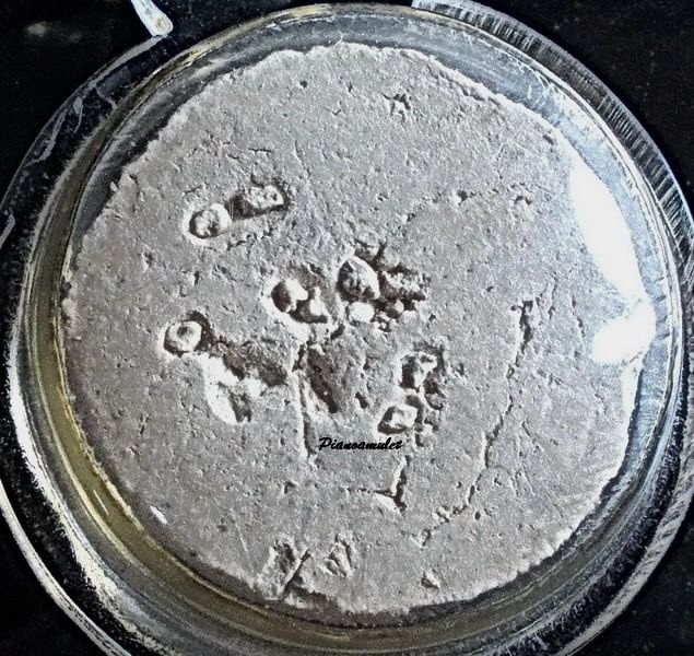 จันทร์ลอย พิมพ์ใหญ่ เนื้อผงบางขุนพรหม วัดประสาท พิธีใหญ่ ปิ 2506