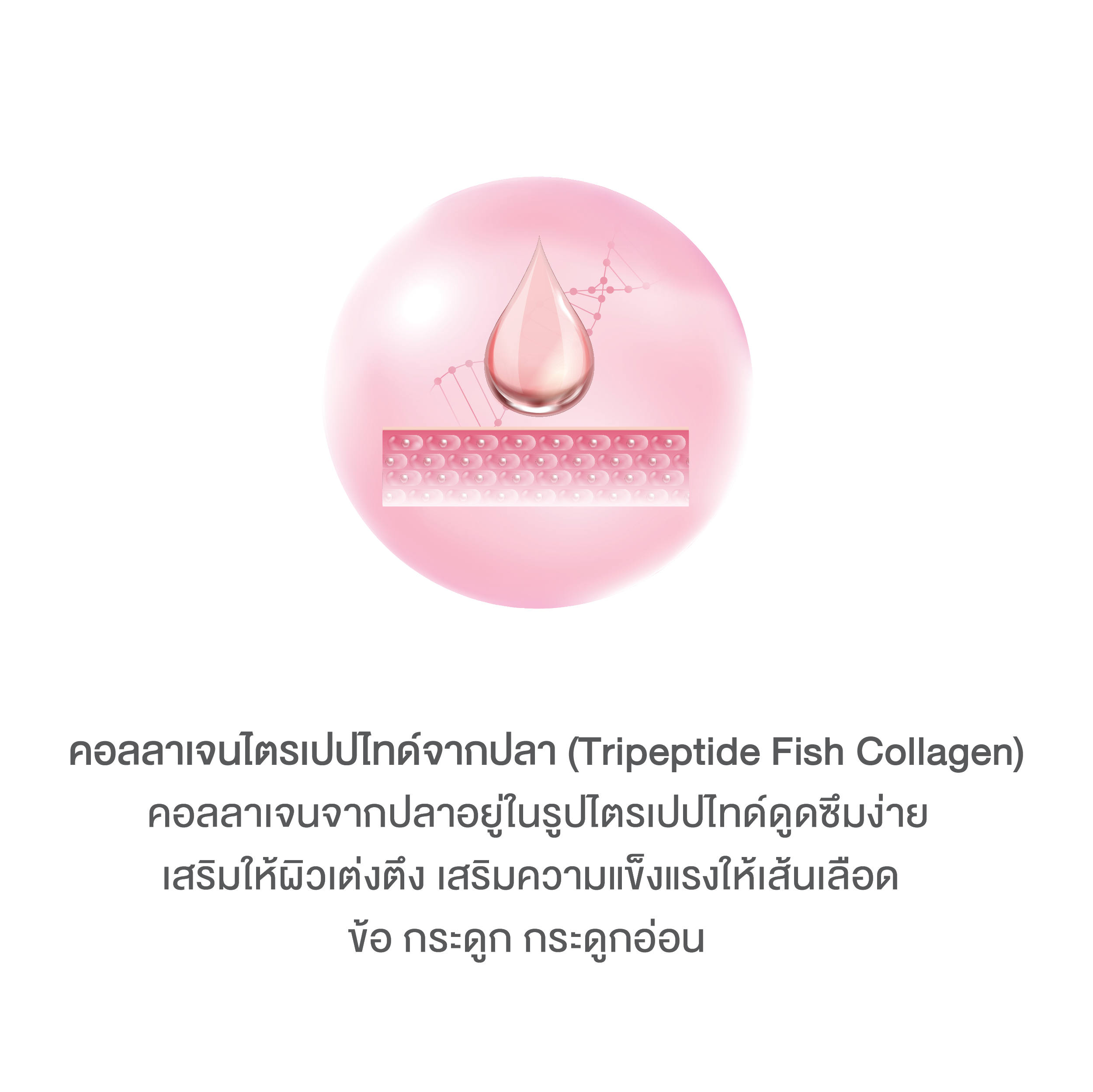 บลูม คอลลาเจน พลัส BOOM COLLAGEN PLUS