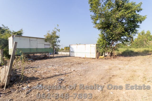 ขายที่ดิน ต.คูบางหลวง อ.ลาดหลุมแก้ว ปทุมธานี ถมแล้ว ราคาไม่แพง