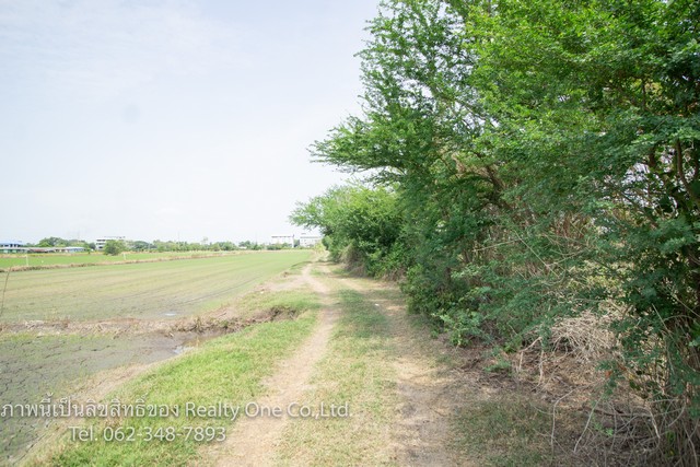 ขาย ที่ดิน ถ.บางบัวทอง-สุพรรณบุรี (340) ราคาถูก เท่าประเมินกรมที่ดิน