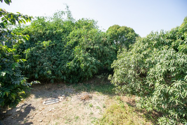 ขาย ที่ดิน พร้อม บ้าน ต.หัวโพธิ์ สองพี่น้อง สุพรรณบุรี