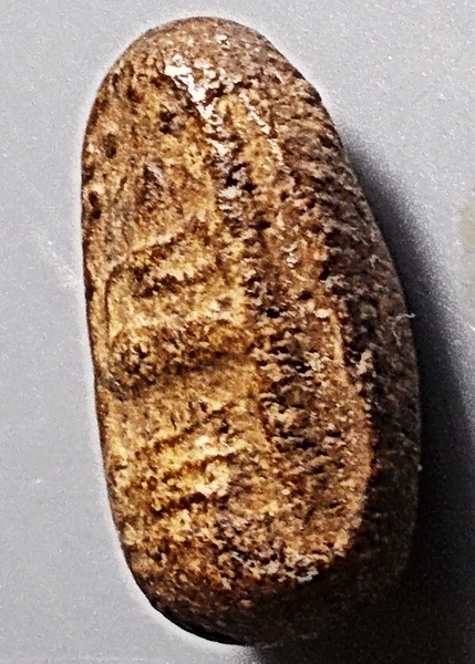 พระคงจิ๋ว เนื้อผงพุทธคุณ ลพ.พริ้ง วัดบางปะกอก