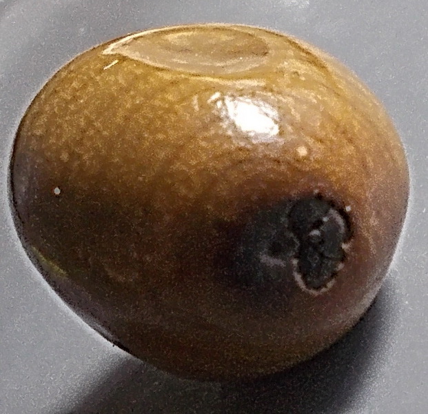 ลูกสวาท มหาเสน่ห์ ไม้มงคลตามธรรมชาติ