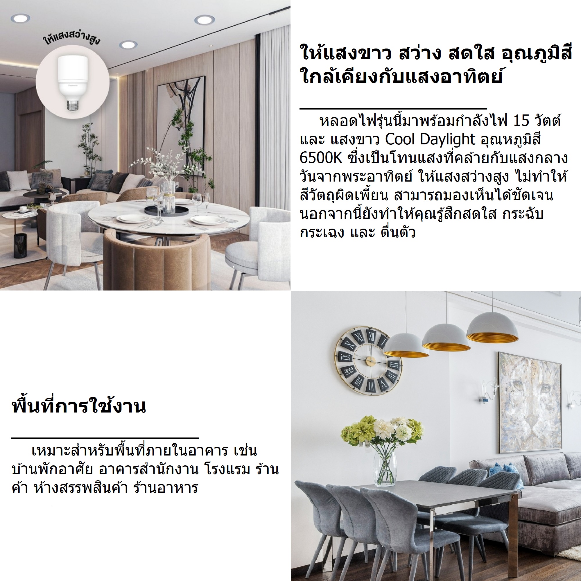 Panasonic LED T-Bulb หลอดไฟแอลอีดี ที-บั๊บ 15W E27 COOL DAYLIGHT