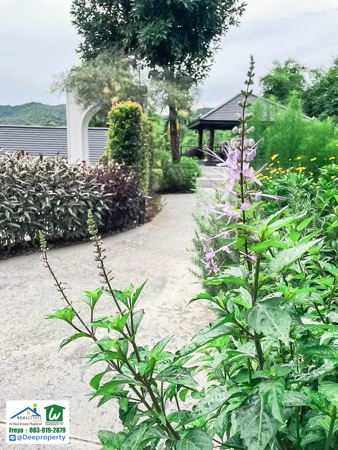 🏡 ขายรีสอร์ทหรูเพื่อสุขภาพ Perana Wellness Resort เชียงใหม่ ⛰️ พร้อมดำเนินกิจการต่อได้ทันที! คืนทุนเร็ว✨