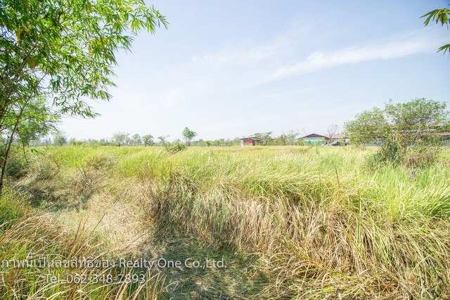 ขาย ที่ดิน แปลงสวย คลอง 15 ถนนตลาดต้นไม้ รังสิต นครนายก