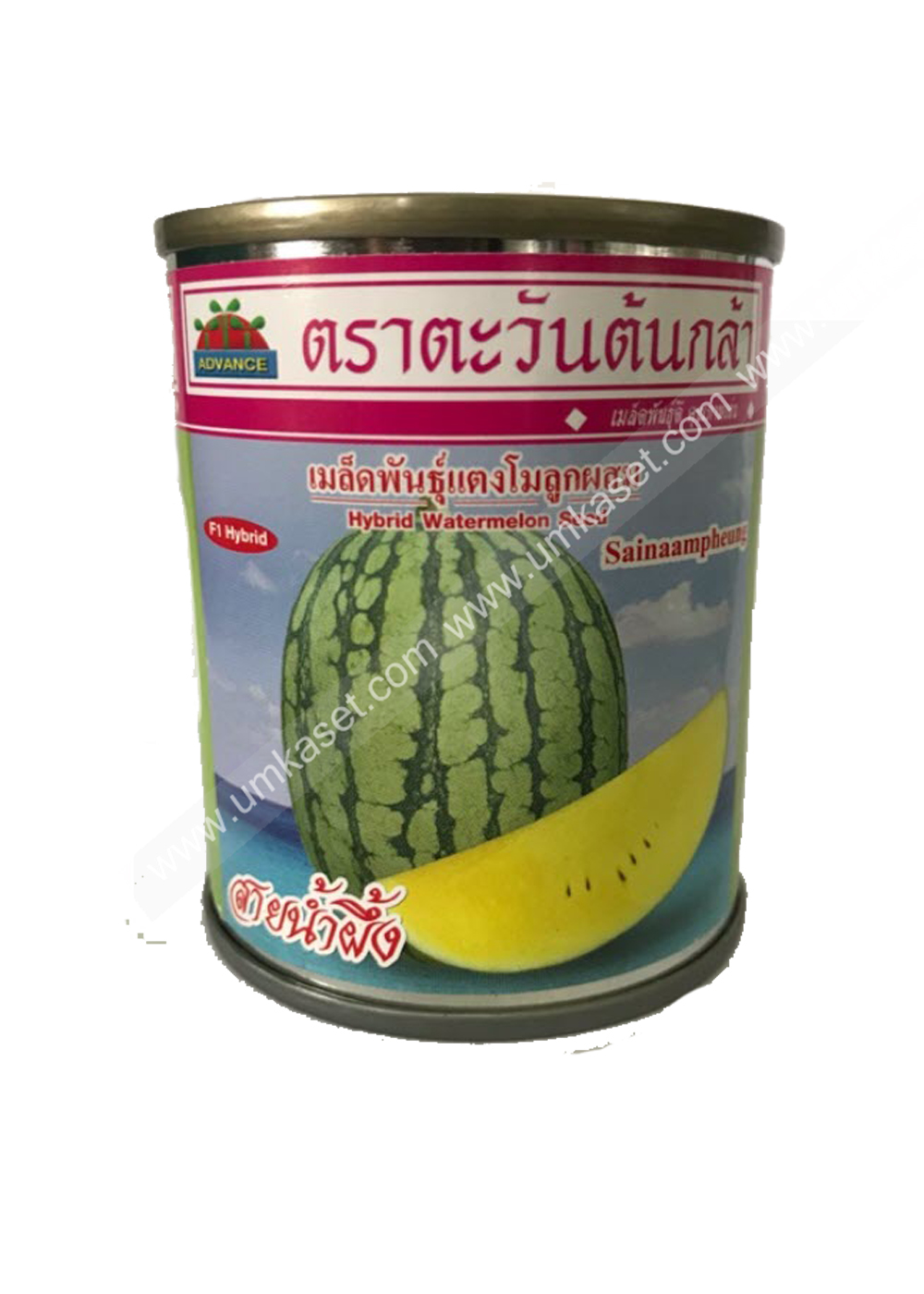 แตงโมเนื้อเหลือง สายน้ำผึ้ง
