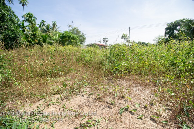 ขาย ที่ดิน ถมแล้ว ต.ไม้เค็ด ปราจีนบุรี ทางเข้าไม้เค็ดโฮมสเตย์