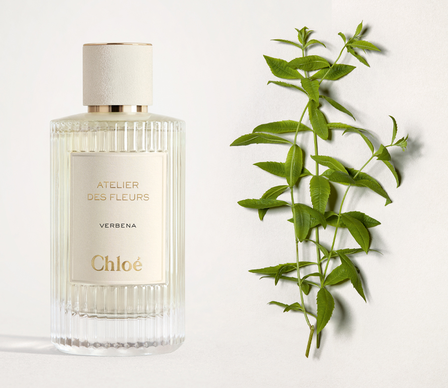 น้ำหอมแท้แบ่งขาย Chloe Verbena EDP - Chloé Atelier des Fleurs 💦แบ่ง 💕Travel Size แบบทดลอง