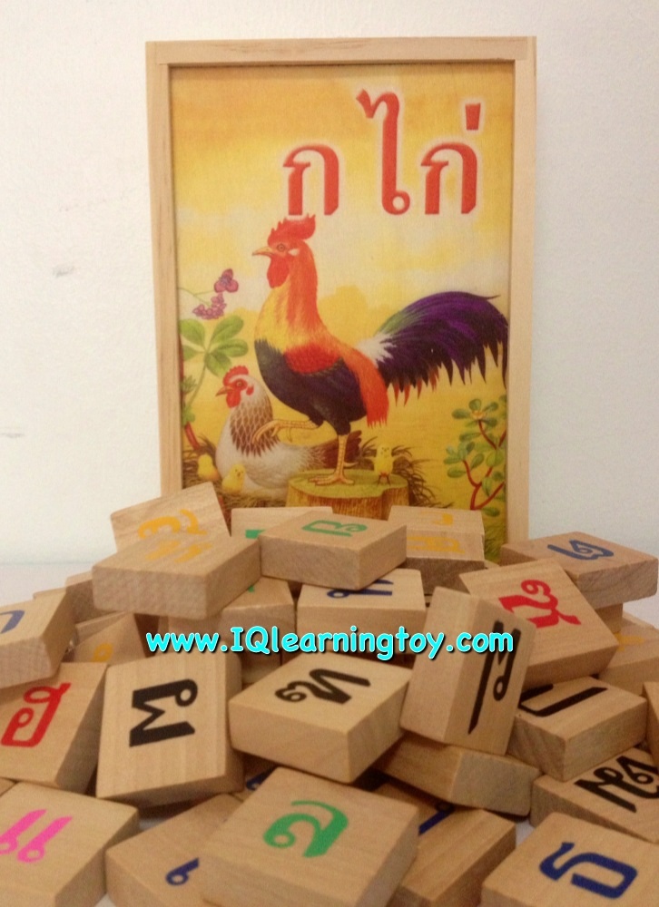 ของเล่นไม้ ชุดอักษรภาษาไทย ก-ฮ / พร้อมเลขไทย ๐-๙ /เครื่องหมายวรรณยุกต์และสระต่างๆ รวม 72 ชิ้น พร้อมกล่องไม้เก็บเรียบร้อยสวยงาม จัดส่งฟรี