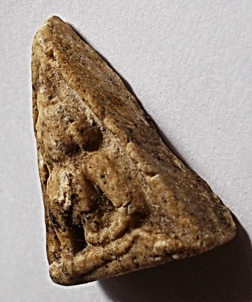 พระนางพญา (พระเศรษฐี) หลวงพ่อชาญณรงค์ อภิชิโต ศิริสมบัติ รุ่นสุดท้าย ปี 2529