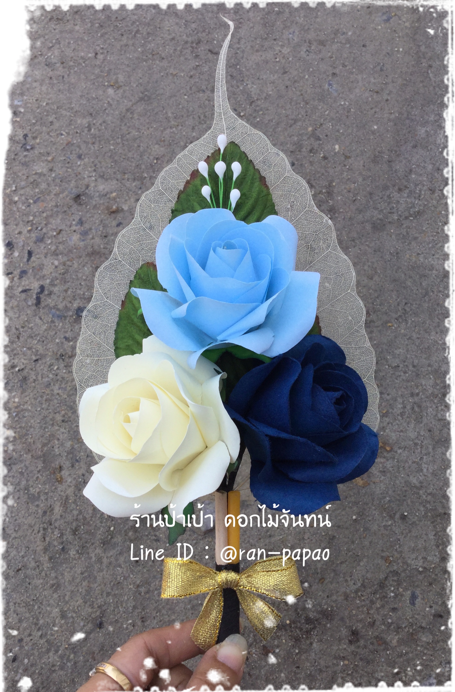 กุหลาบแย้มA 3 ดอก ไล่สี มี 6 สี