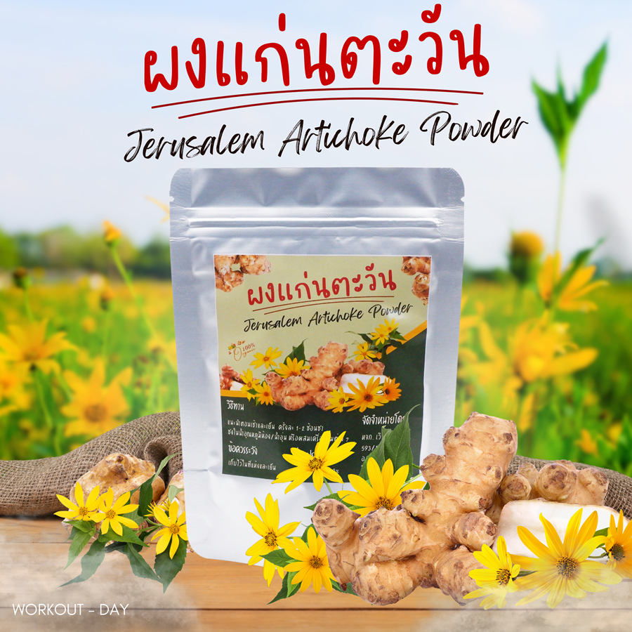 ผงแก่นตะวัน Jerusalem artichoke Organic