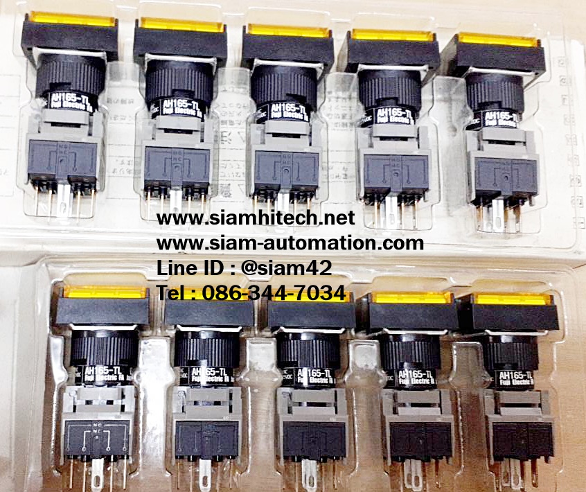 FUJI Switch AH165-2SLY11E3 (NEW)