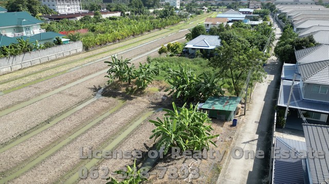 ขายที่ดินสวนผัก ปทุมธานี ใกล้วัดหนองปรง ทำเลทอง ราคานี้หายากสุดๆ