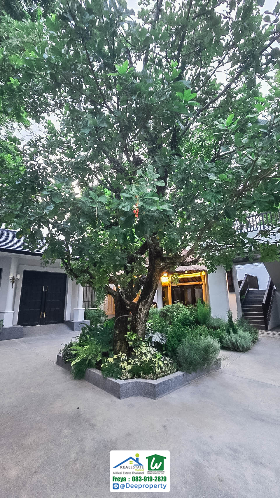 🏡 ขายรีสอร์ทหรูเพื่อสุขภาพ Perana Wellness Resort เชียงใหม่ ⛰️ พร้อมดำเนินกิจการต่อได้ทันที! คืนทุนเร็ว✨