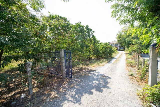 ขาย ที่ดิน พร้อม บ้าน ต.หัวโพธิ์ สองพี่น้อง สุพรรณบุรี