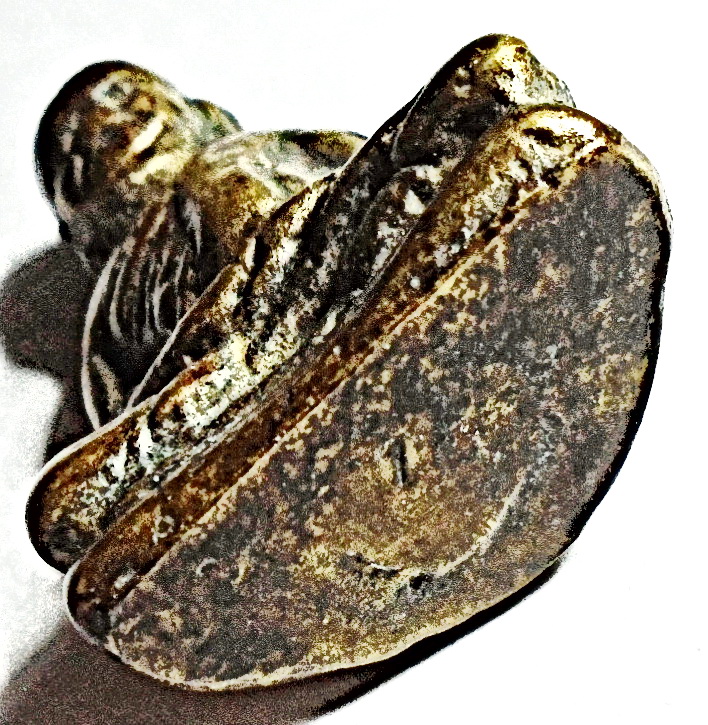 รูปหล่อโบราณ หลวงพ่อเงิน ออกวัดท่ามะไฟ พิจิตร ปี 2460