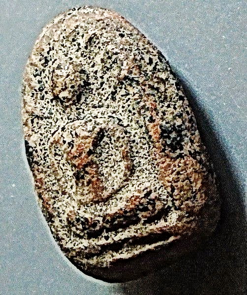 พระเม็ดบัวรัศมี เนือดินผสมผง หลวงพ่ออ๋อย วัดไทร บางขุนเทียน กรุงเทพฯ ปี 2490