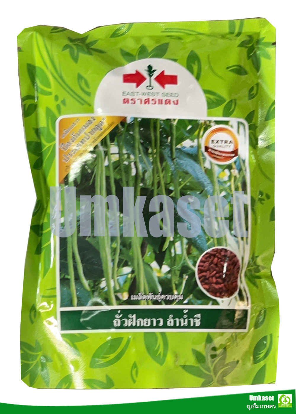 ถั่วฝักยาว ลำน้ำชี ศรแดง