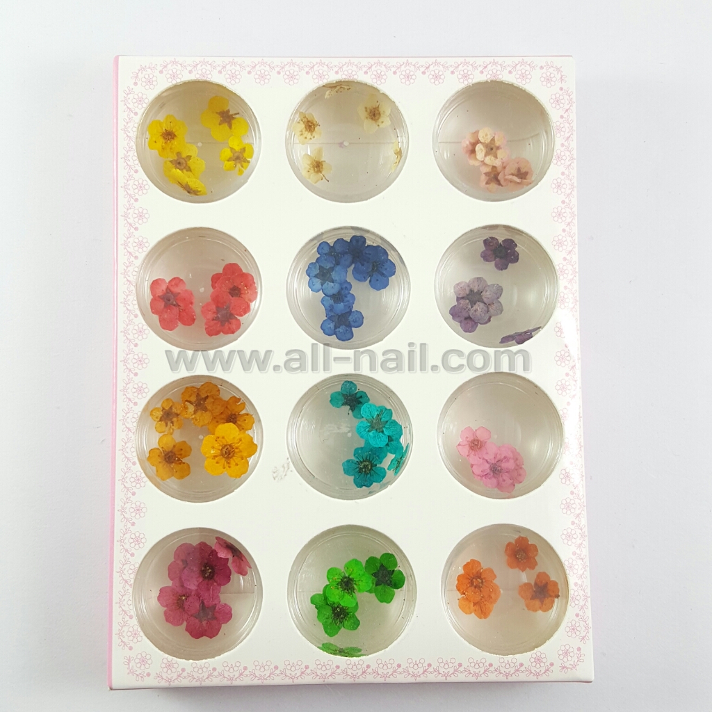 ดอกไม้แห้ง #1