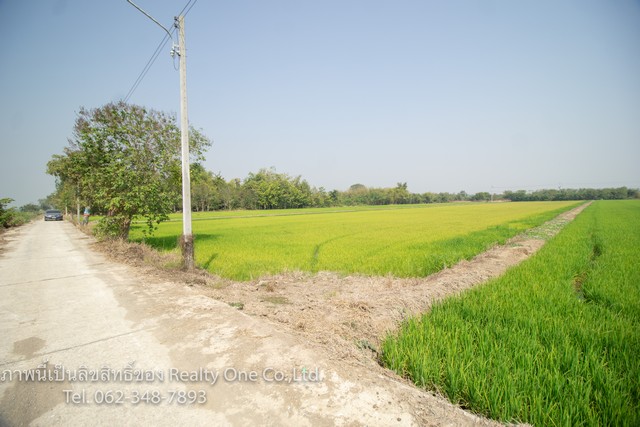 ขาย ที่ดิน ติดถนนคอนกรีต ใกล้ รพ.สามชุก สุพรรณบุรี