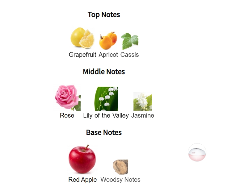 น้ำหอม DKNY Be Delicious Fresh Blossom for Women EDP 100 ml. กล่องซีล