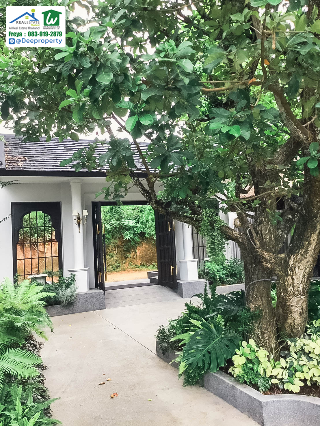 🏡 ขายรีสอร์ทหรูเพื่อสุขภาพ Perana Wellness Resort เชียงใหม่ ⛰️ พร้อมดำเนินกิจการต่อได้ทันที! คืนทุนเร็ว✨