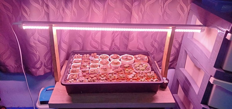 หลอดไฟปลูกต้นไม้ LED T8 35W ยาว 90CM 144 LED Grow Light AC 220V