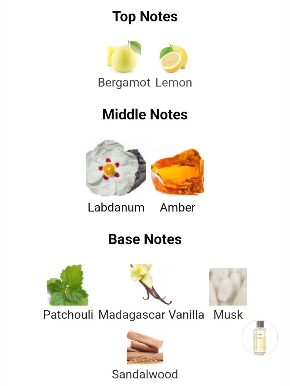 น้ำหอมแท้แบ่งขาย Chanel Les Exclusifs de Le Lion 💕Travel Size แบบทดลอง