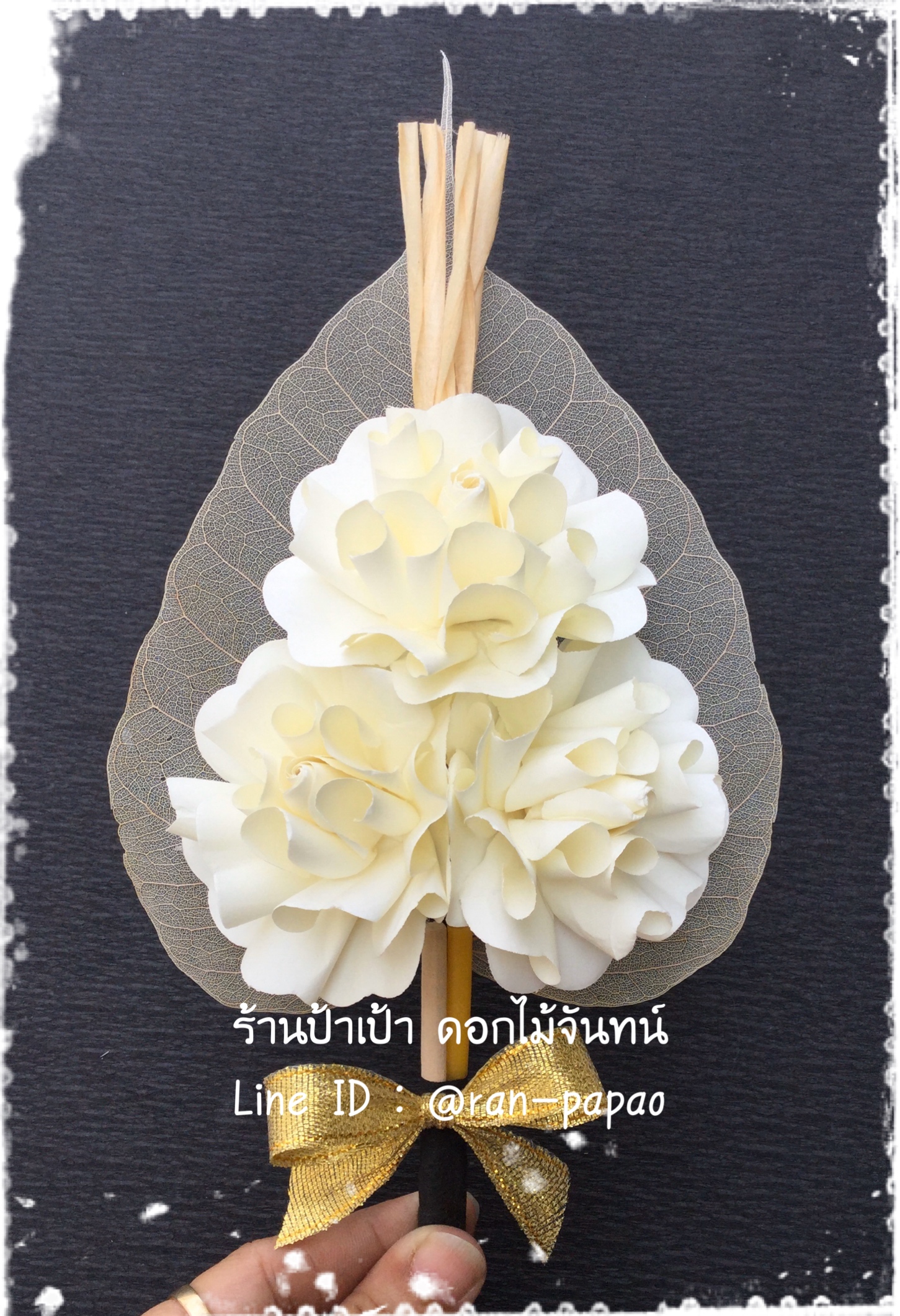 พุดซ้อนC 3 ดอก มี 6 สี
