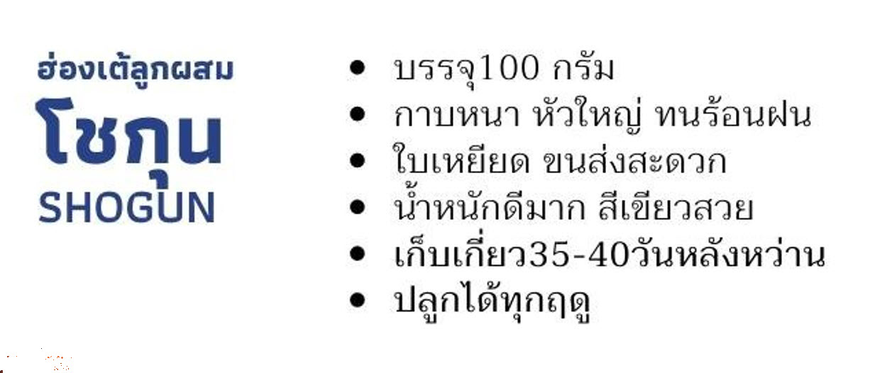 กวางตุ้งฮ่องเต้ลูกผสม โชกุน ตราลูกโลก 100 กรัม