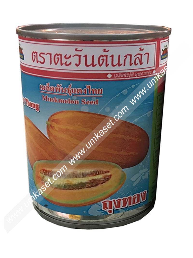 แตงไทย ถุงทอง ตะวันต้นกล้า 100 กรัม