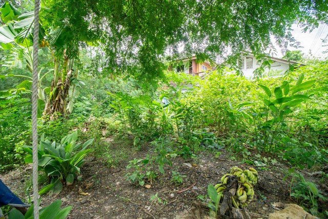 ขายที่ดินถมแล้ว ซอยเวิร์คพอยท์ บางพูด เมืองปทุมธานี