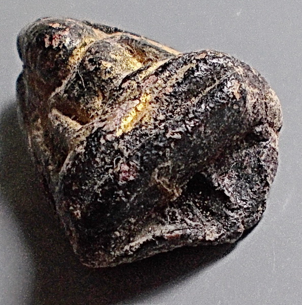 พระกรุวัดตะไกร เนื้อดินมีรักทอง อยุธยา พิมพ์หน้าครุฑ