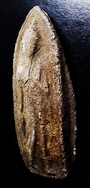 พระลีลา เนื้อผงเก่า ไม่ทราบที่