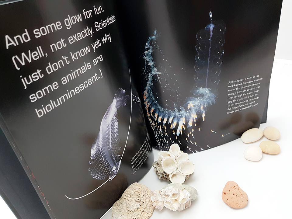 Glow : Animals with Their Own Night-Lights by W.H BECK (10 Awards)
