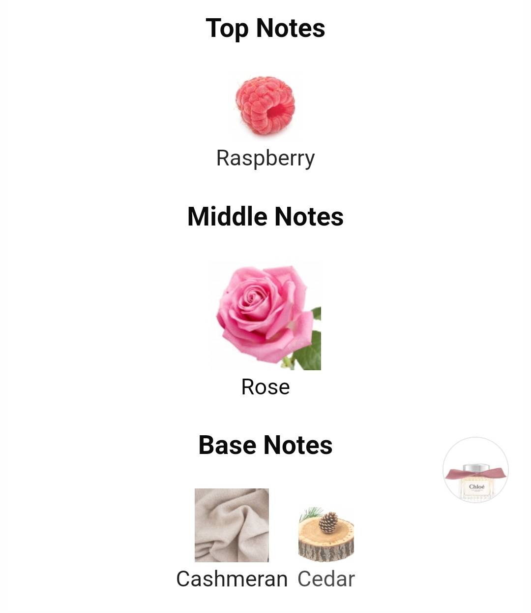 น้ำหอมแท้ Chloe L'Eau de Parfum Intense (2024)for women and men 100ml กล่องเทสเตอร์