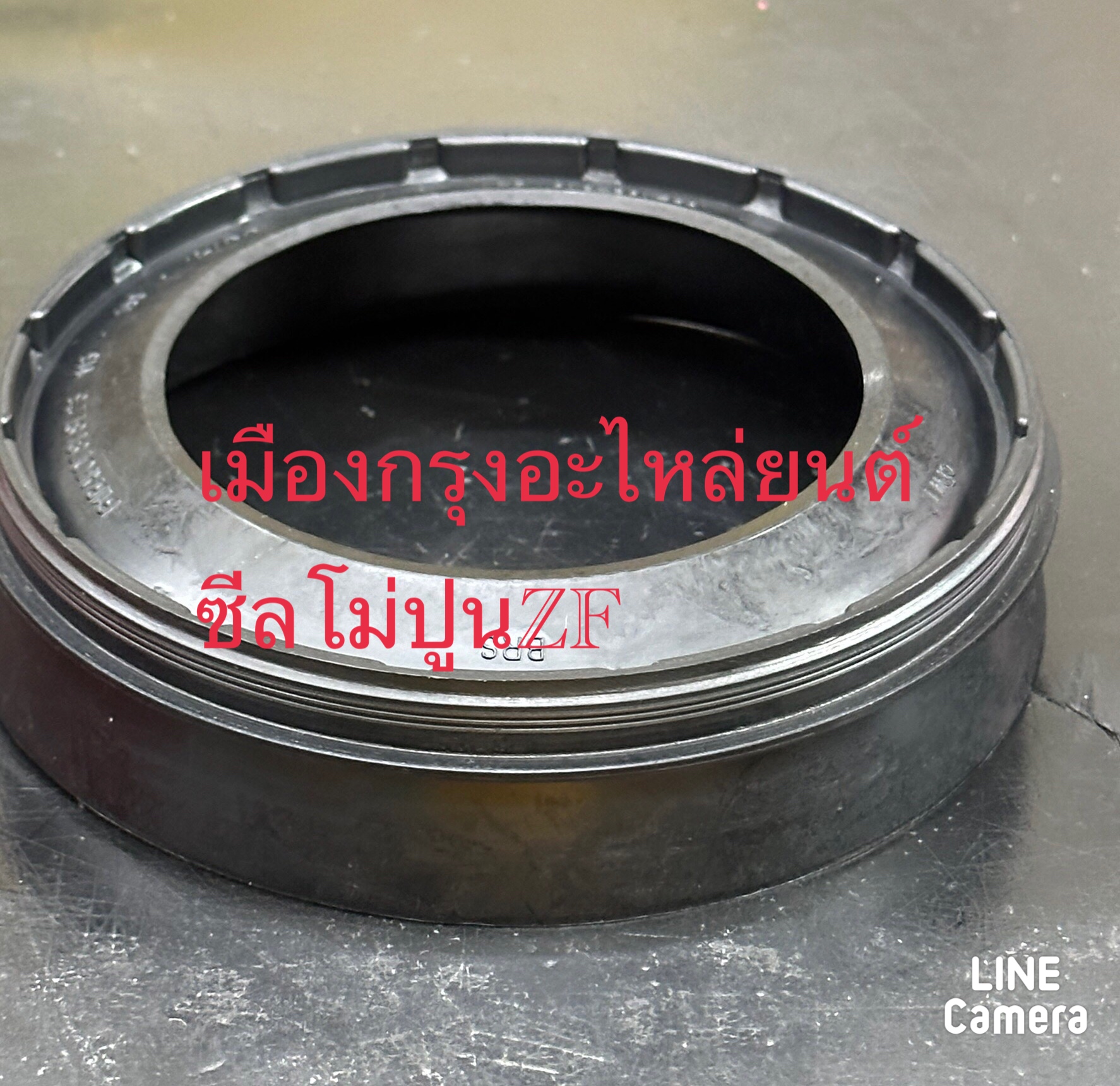 ซีลโม่ปูนZF
