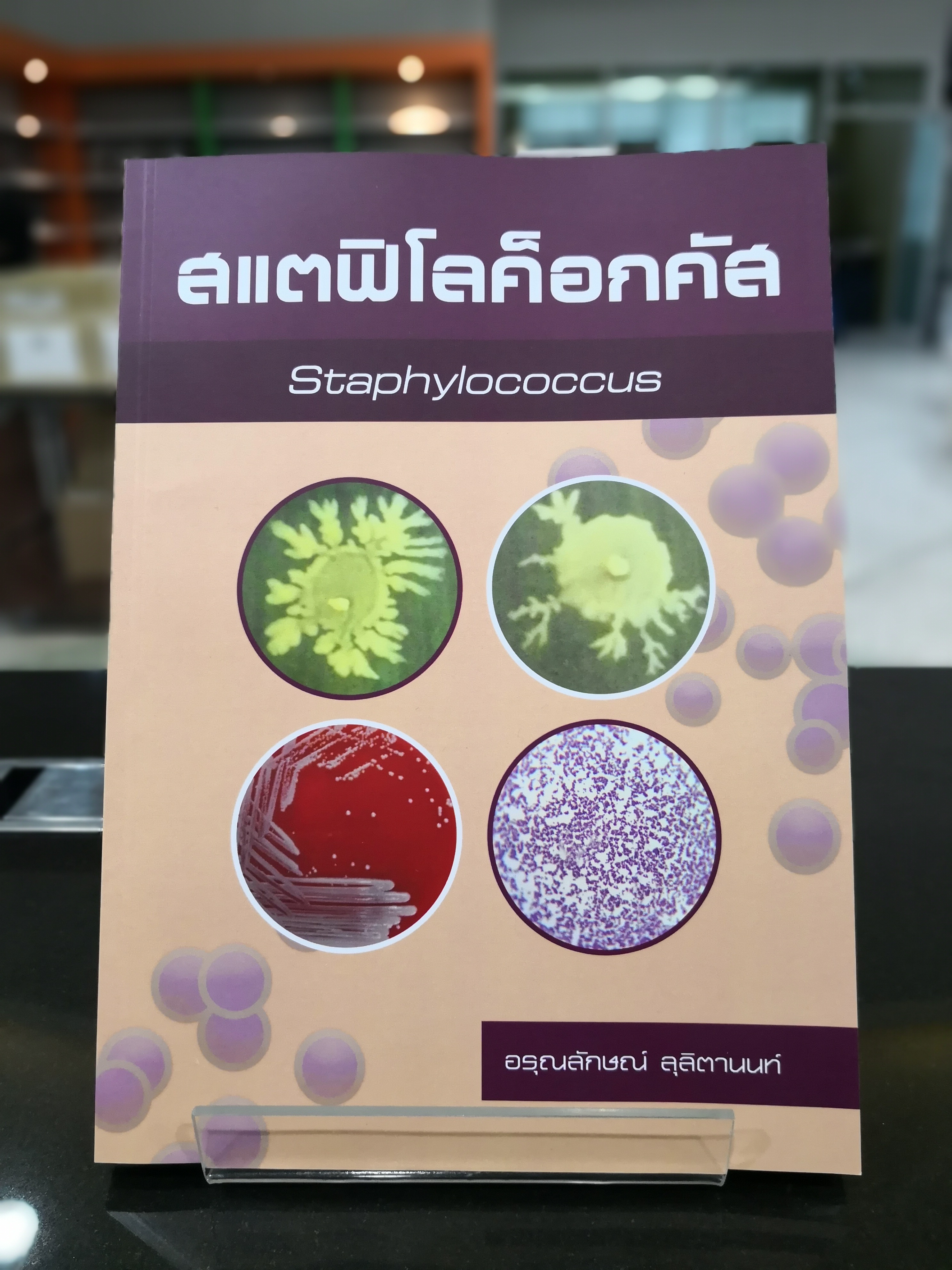 สแตฟิโลค็อกคัส Staphylococcus