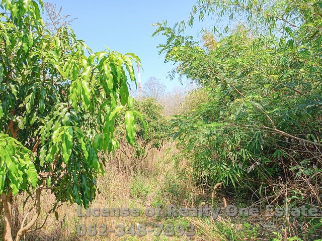 ขายที่ดินถมแล้ว ทำเลดี ติดถนนสายนครไทย-ชาติตระการ พิษณุโลก