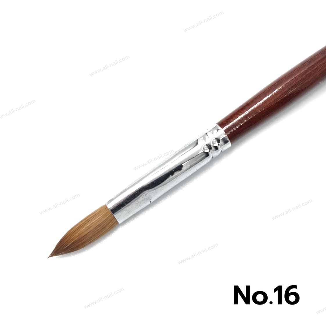 พู่กันต่ออะคริลิค ขนแน่น คุณภาพอย่างดี เบอร์6,8,14,16