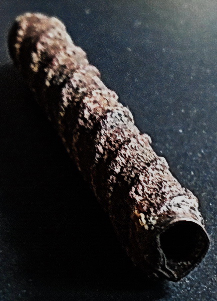 ตะกรุดเก่าถักเชือก ขนาด 2 นิ้ว ไม่ทราบที่