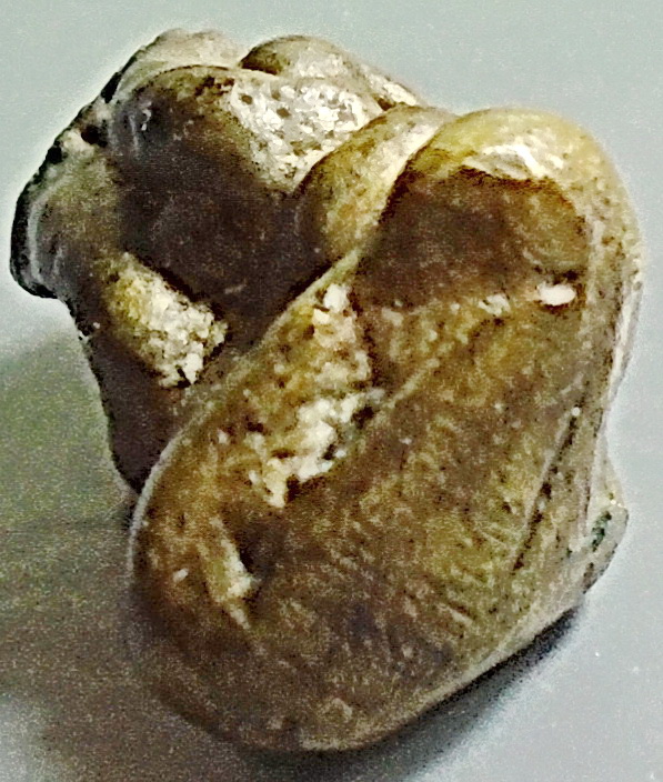 พระปิดตาหล่อโบราณ เขาอ้อ พัทลุง