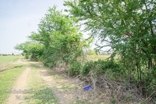 ขาย ที่ดิน ถ.บางบัวทอง-สุพรรณบุรี (340) ราคาถูก เท่าประเมินกรมที่ดิน