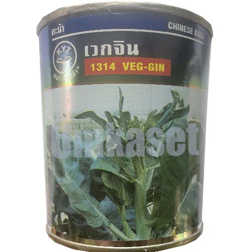 คะน้าลูกผสม F1 เวกจิน 1314