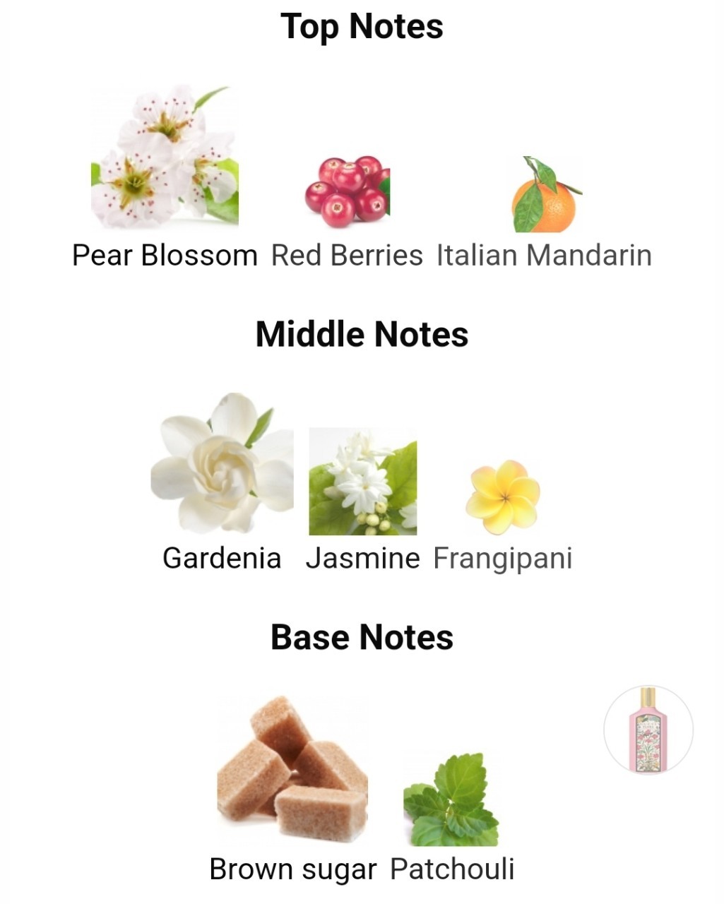 น้ำหอมแท้แบ่งขาย Gucci Flora Gorgeous Gardenia EDP 💕Travel Size แบบทดลอง