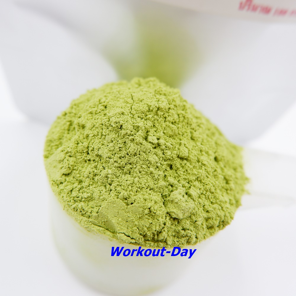 ผงผักเคล ราชินีผักใบเขียว