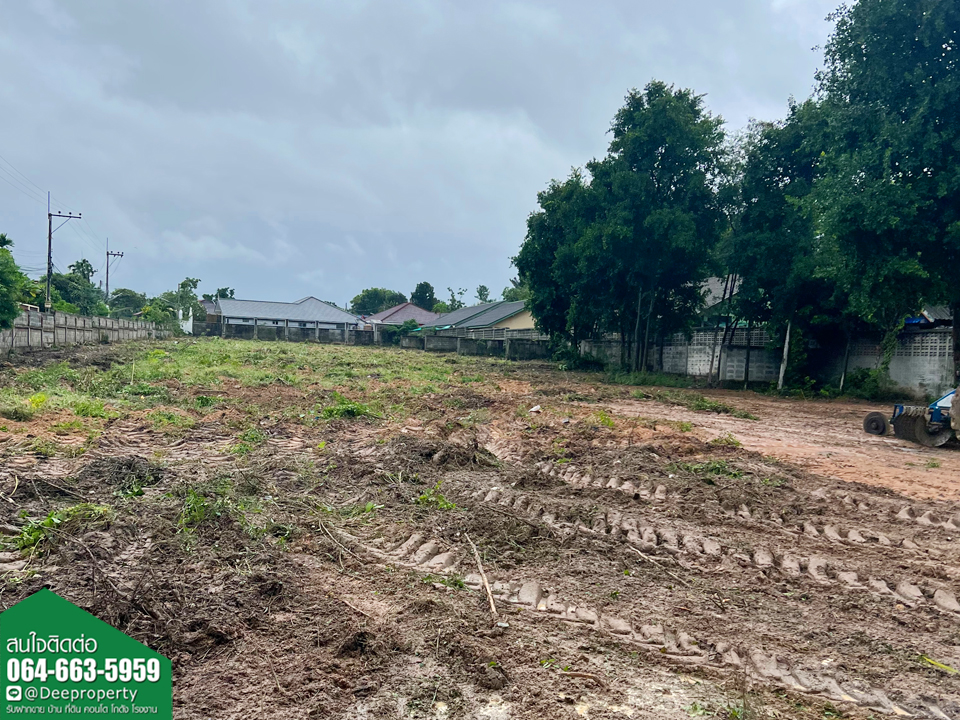 🏠ขายที่ดินพัทยา 2 ไร่ ใกล้หาดจอมเทียน ติดถนนชัยพฤกษ์ 2 ตำบลหนองปรือ อำเภอบางละมุง จ.ชลบุรี ราคาถูก